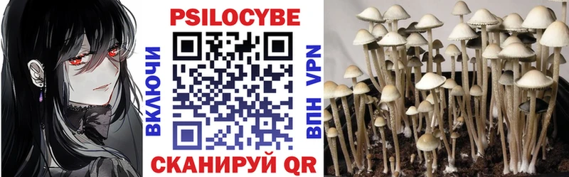 Галлюциногенные грибы Psilocybine cubensis  Электросталь 